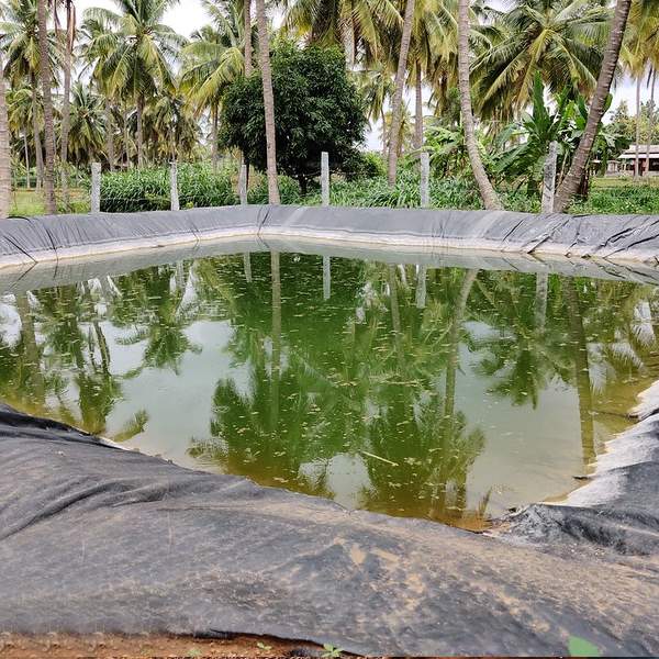  etti farms Rain Water Harvesting