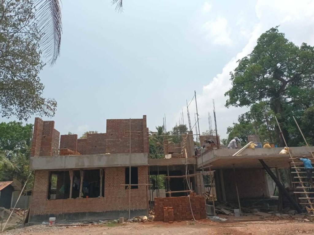  the woods Construction Status June 25