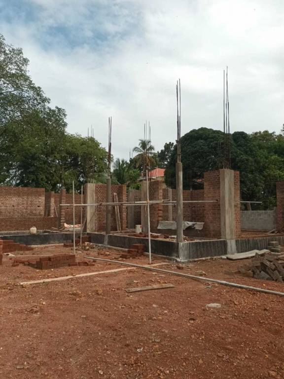  the woods Construction Status June 25