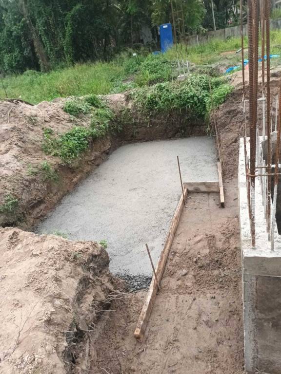  the woods Construction Status June 25