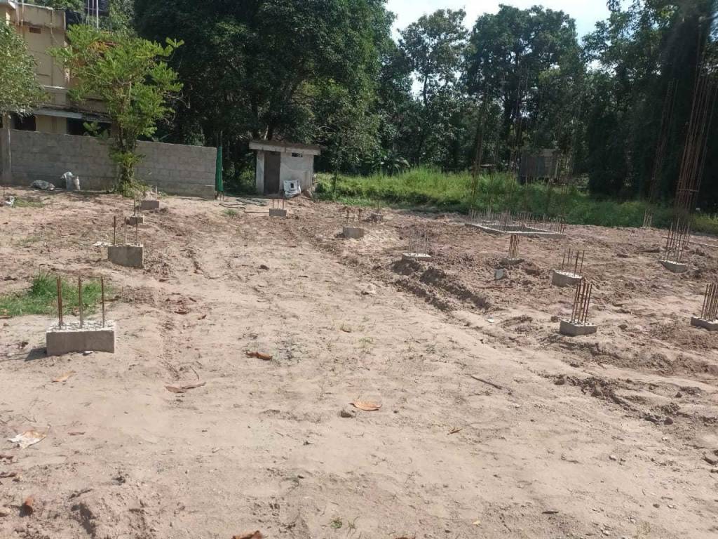  the woods Construction Status June 25