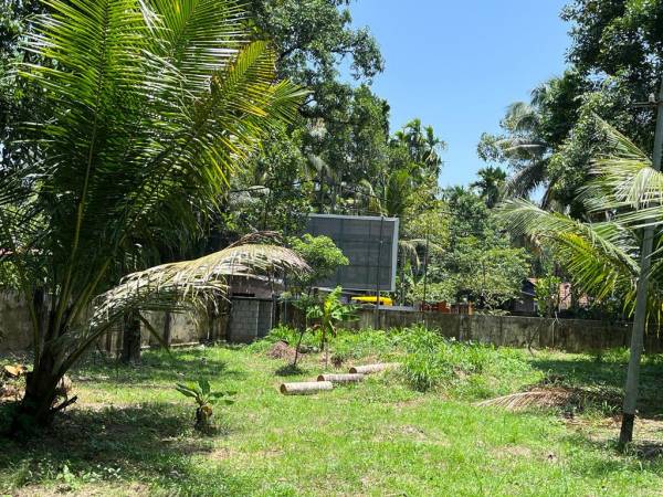 Construction Status June-25 the-woods Construction Status June-25