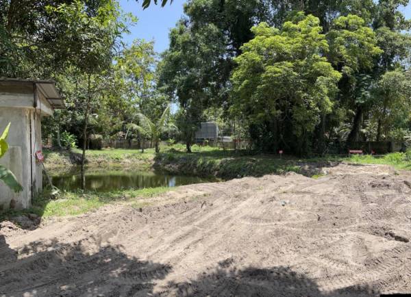 Construction Status June-25 the-woods Construction Status June-25