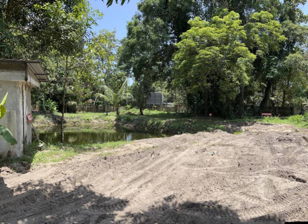  the woods Construction Status June 25