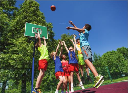  green-hive-plus-wing-a5 Basketball Court