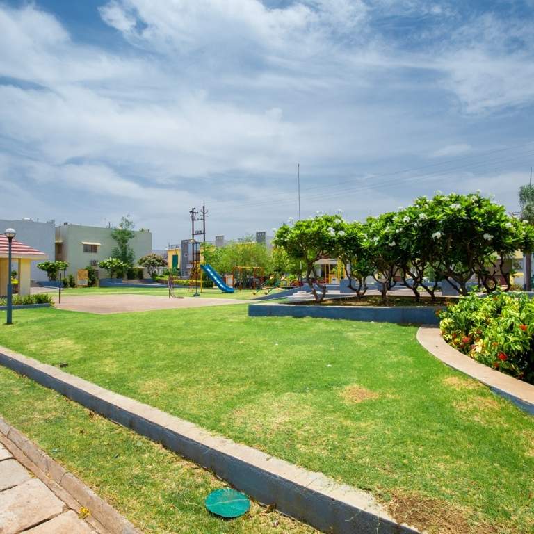  capital homes Landscape Garden and Tree Planting