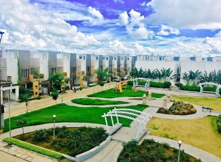  capital homes Landscape Garden and Tree Planting