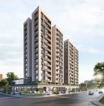  solo-square Elevation