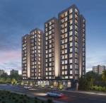  solo-square Elevation