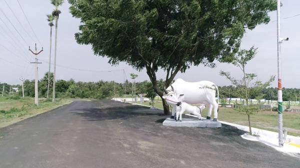  balaji-avenue Internal Roads & Footpaths