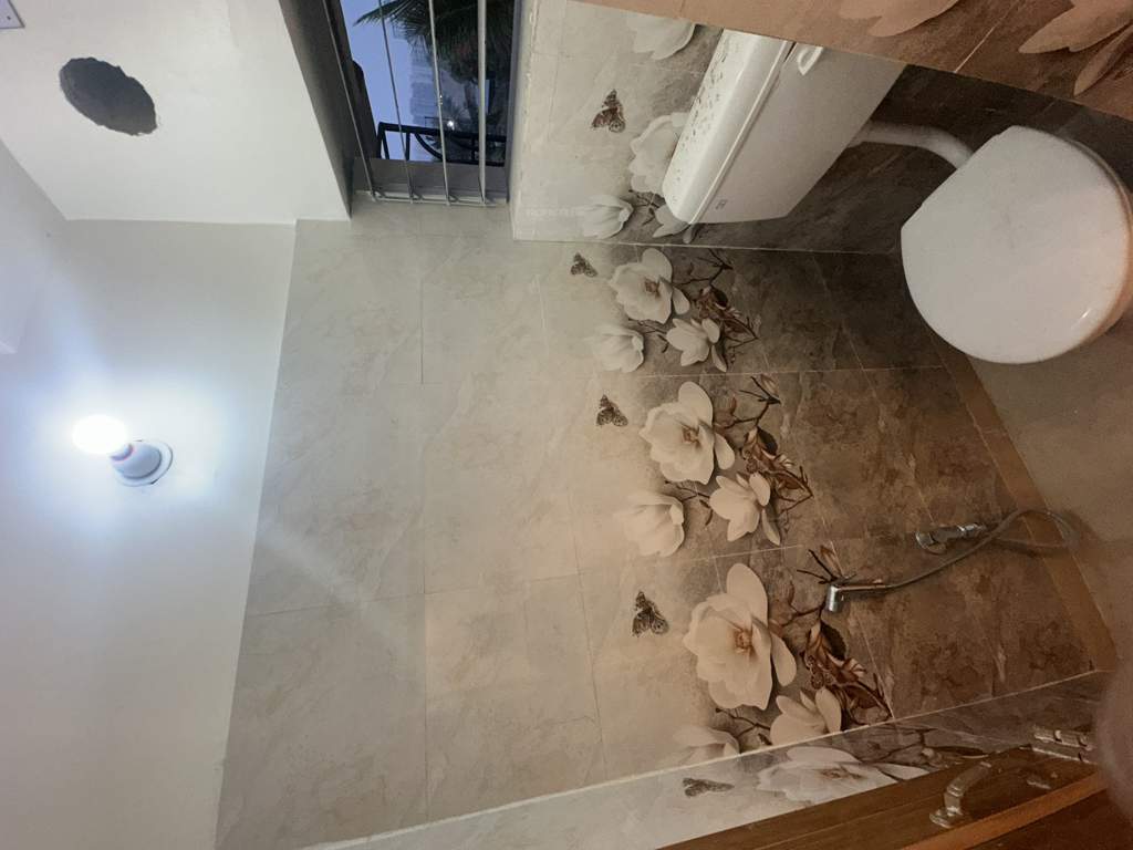  bhabatarini apartment Bathroom