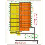  sunshine-farms Layout Plan