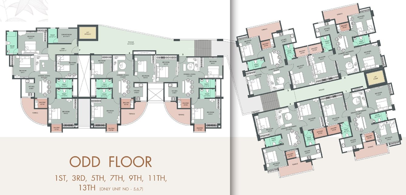  umang ii Umang II Cluster Plan For Odd Floor
