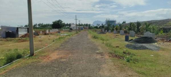 Plot vagai-garden Plot