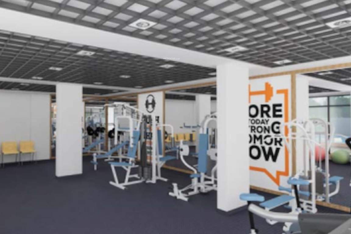  gardnia phase 4 Gymnasium