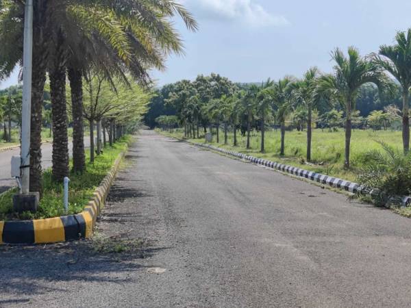  sukhshetra-greens Plot