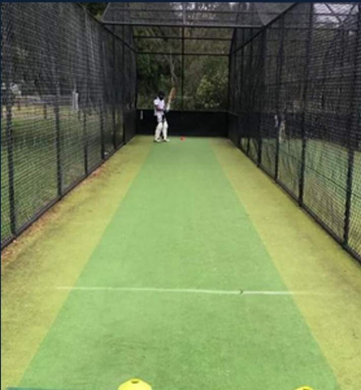  asian signature Cricket arena