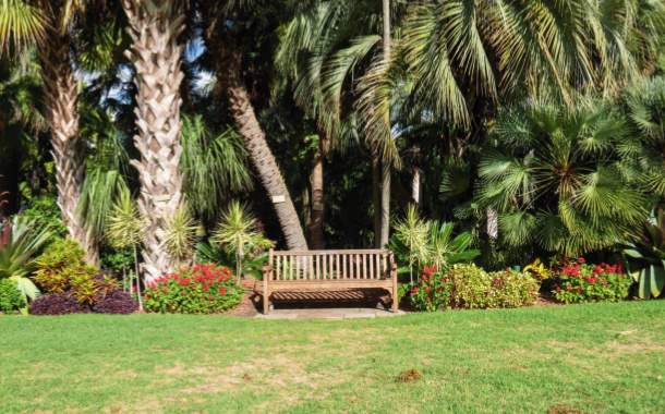  anandhara apartment Landscape Garden and Tree Planting