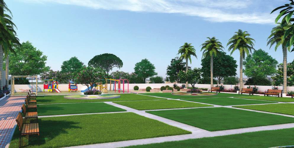  gruham exotica Children's play area