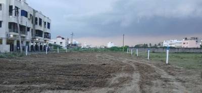  mass-blossom Elevation