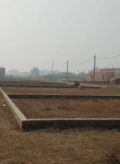 Elevation dummy Real Crown Estate