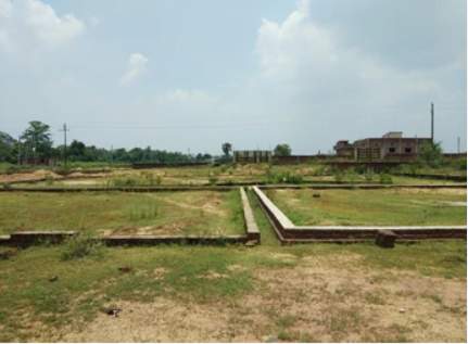  crown estate Plot