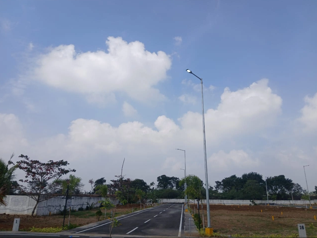  signature city phase i Plot