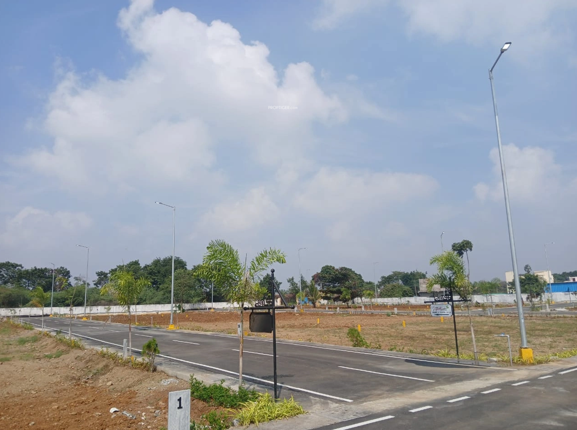  signature city phase i Plot