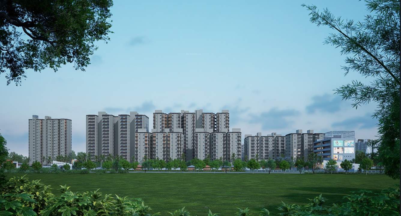  diamond city  Elevation