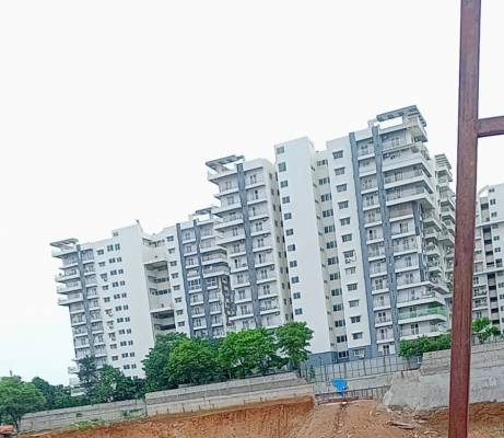 miliarium Elevation Elevation