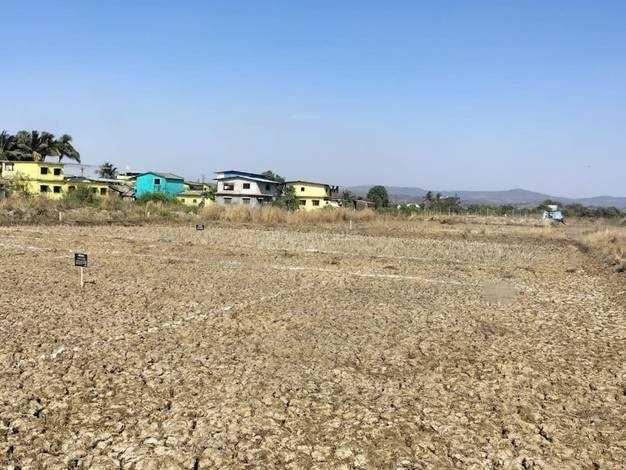  mahamumbai plots in vindhane Elevation