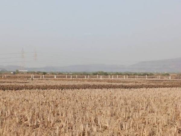  mahamumbai-plots-in-vindhane Plot