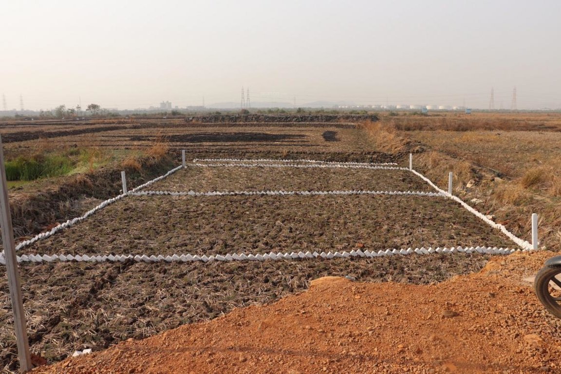  mahamumbai plots in vindhane Plot