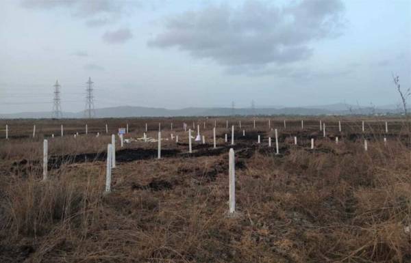  mahamumbai-plots-in-vindhane Plot