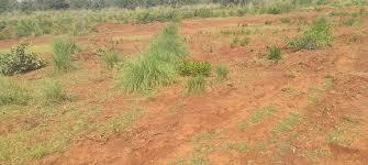 Plot mahamumbai-plots-in-pirkon Plot