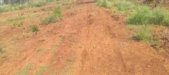  mahamumbai plots in pirkon Plot