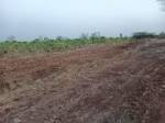  mahamumbai-plots-in-khopata-township Plot