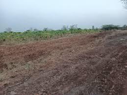 Plot mahamumbai-plots-in-khopata-township Plot
