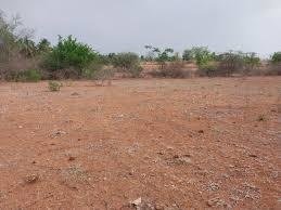 Plot mahamumbai-plots-in-khopata-township Plot