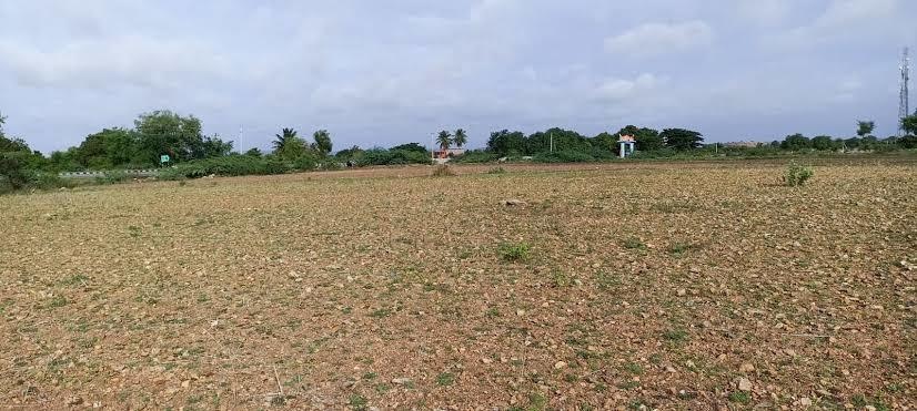 Elevation mahamumbai plots in chirle Elevation