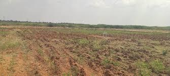  mahamumbai plots in chirle Plot
