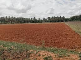  mahamumbai-plots-in-chirle Plot