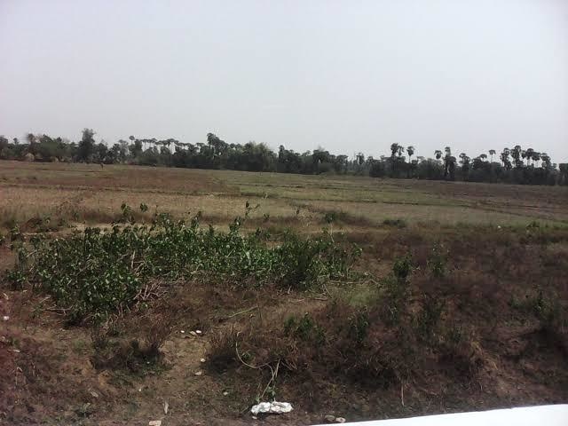 Elevation mahamumbai plots in sarde Elevation