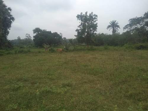  mahamumbai plots in sarde Plot