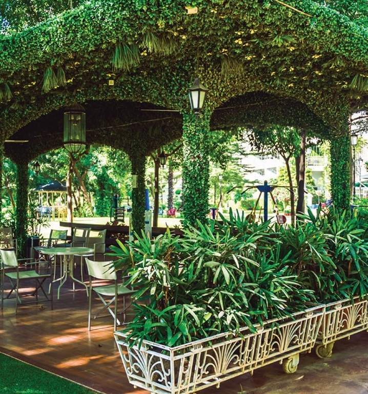  bellaperla Landscape Garden and Tree Planting