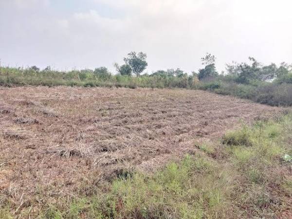  mahamumbai-plots-in-belondekhar Elevation