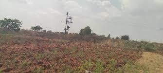  mahamumbai plots in belondekhar Plot