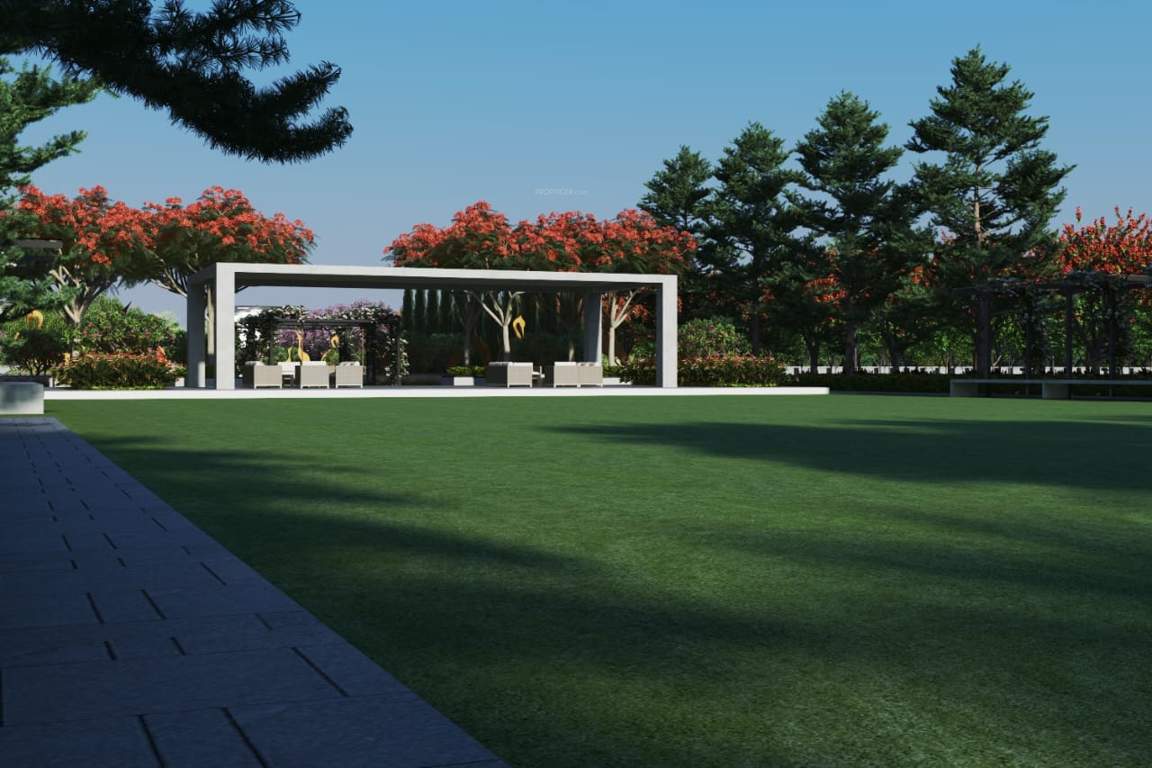  alaska green east Senior Citizen Sitout