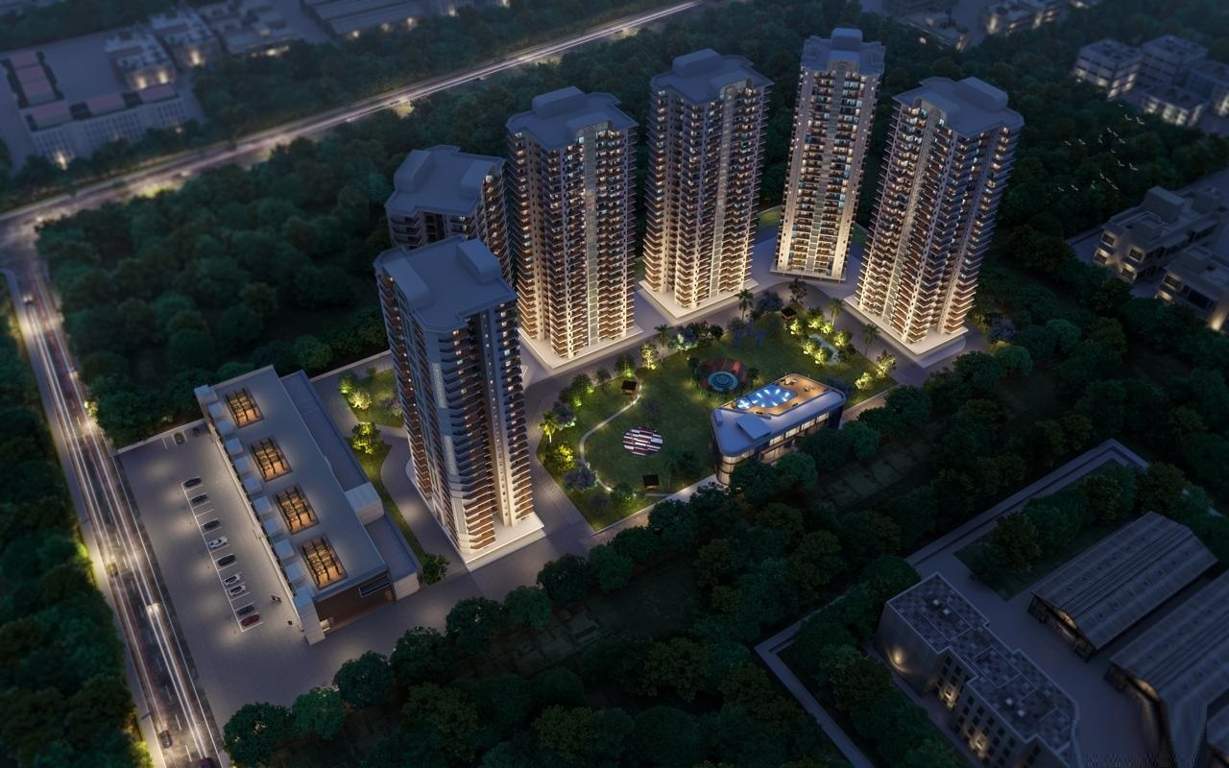  the vibe live the high life Elevation