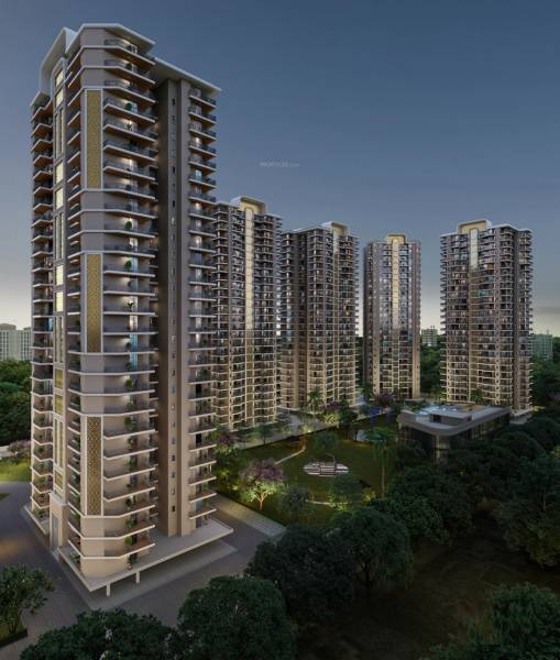 Elevation the-vibe-live-the-high-life Elevation